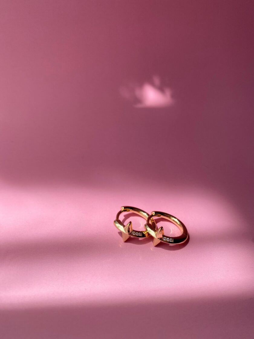 VIP 14k Gold Taşlı Küpe(17mm) - Görsel 3