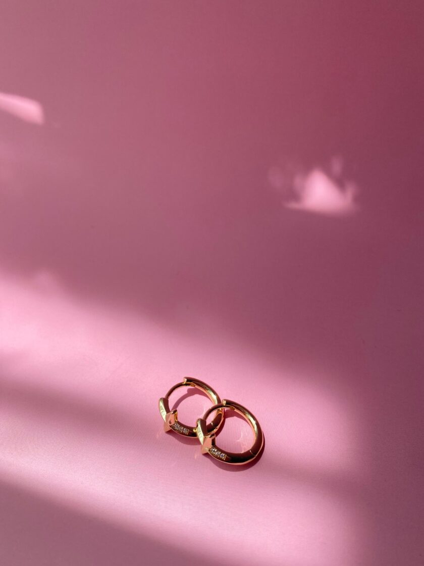 VIP 14k Gold Taşlı Küpe(17mm) - Görsel 4