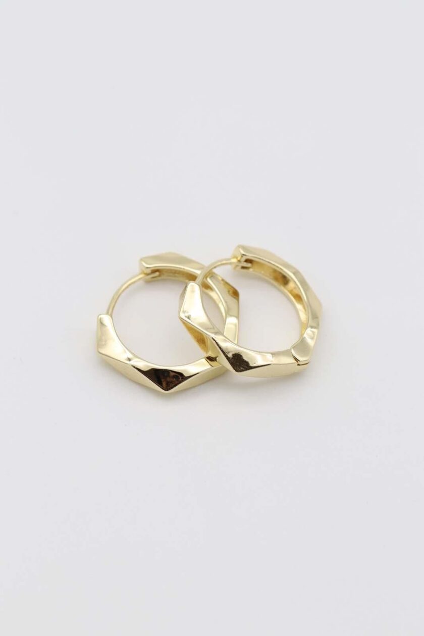 VIP 14k Gold Küpe(20mm)