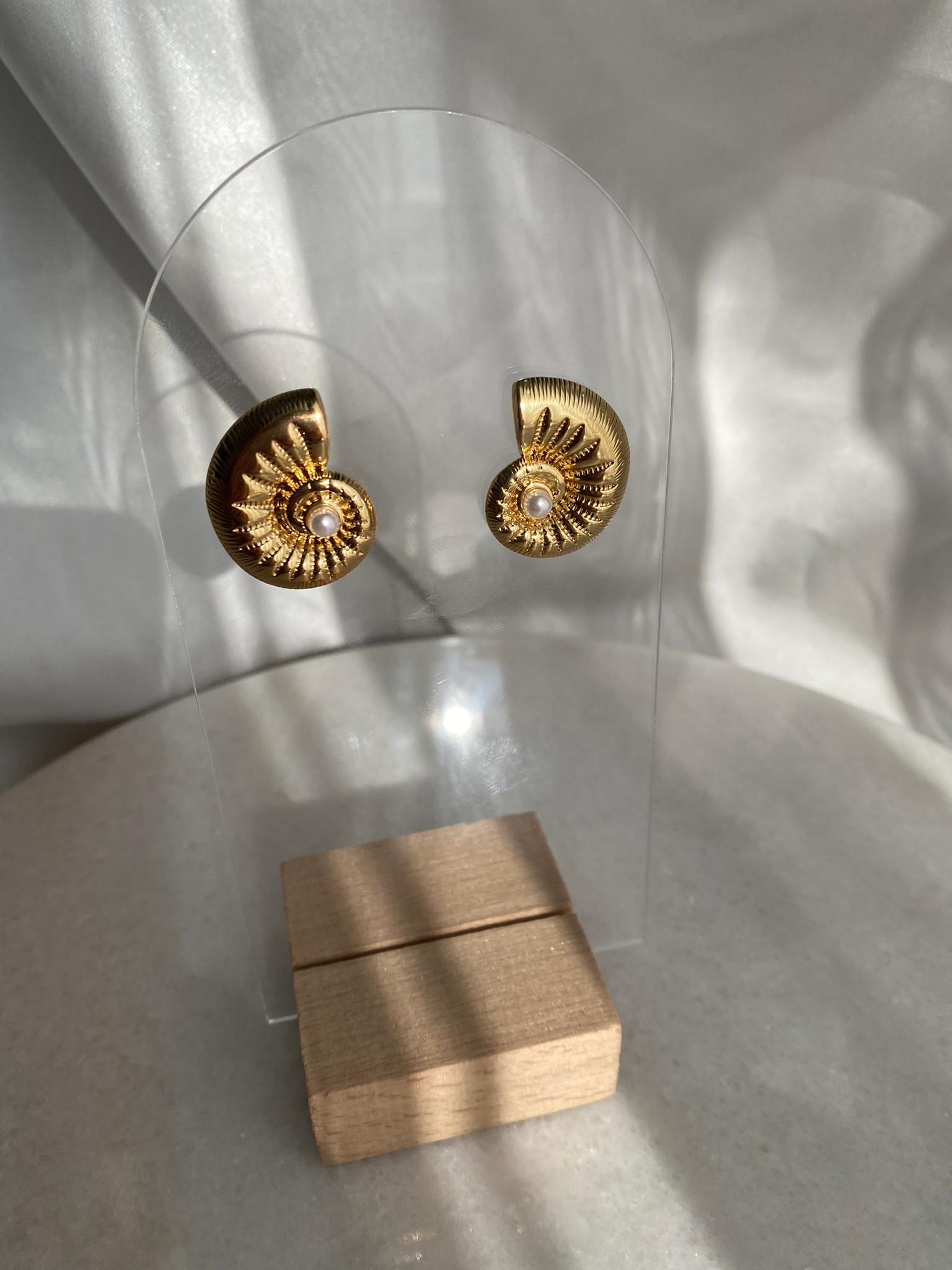 Çelik Deniz Kabuğu Küpe - Görsel 5