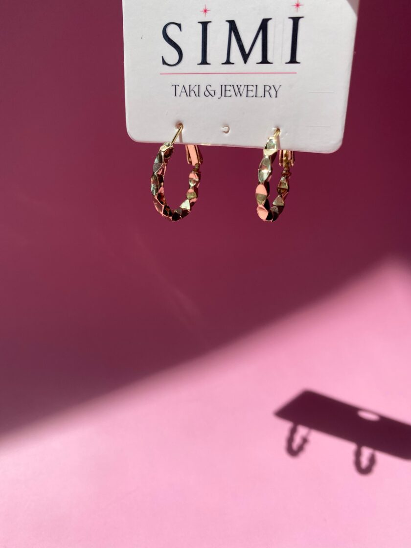 VIP 14k Gold Parlak Halka Küpe - Görsel 2
