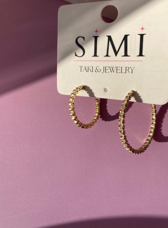 VIP İnce Taşlı Küpe